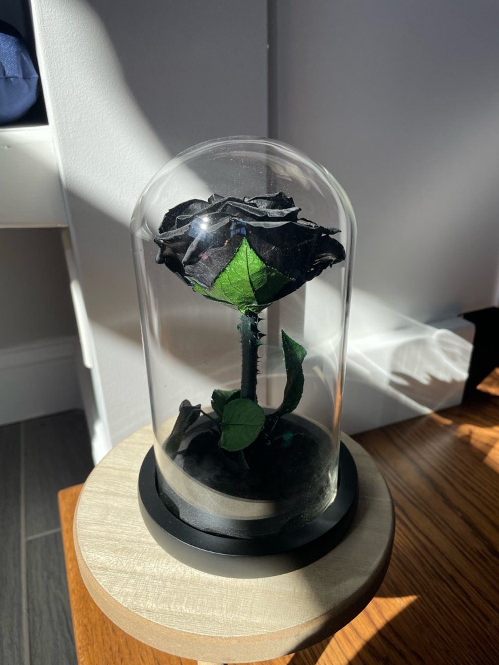 NATROSES Handmade Preserved Black Rose in Glass Dome New in Box - Picture 5 of 12